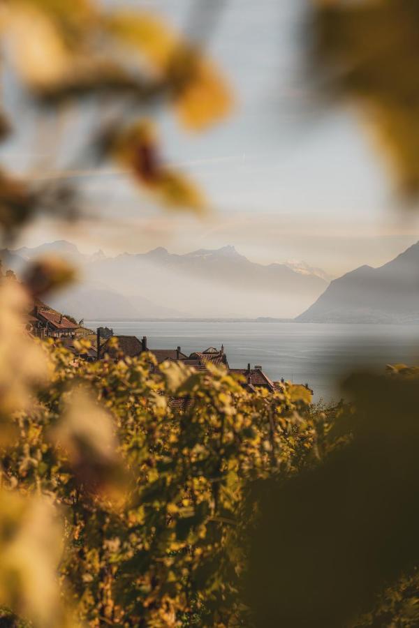 Grand Hotel du Lac Vevey Extérieur photo