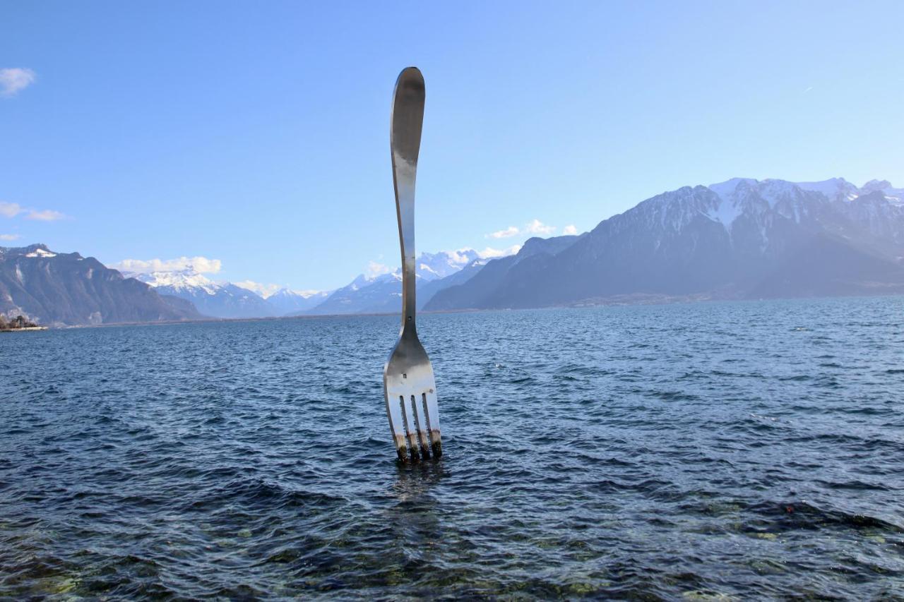 Grand Hotel du Lac Vevey Extérieur photo